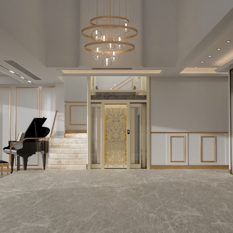 indoor home lift 2